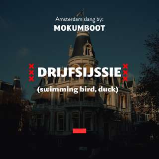 Learn to talk like a true local and become bff's with Nelleke down the street: a 'drijfsijssie' is a bird floating on the water.