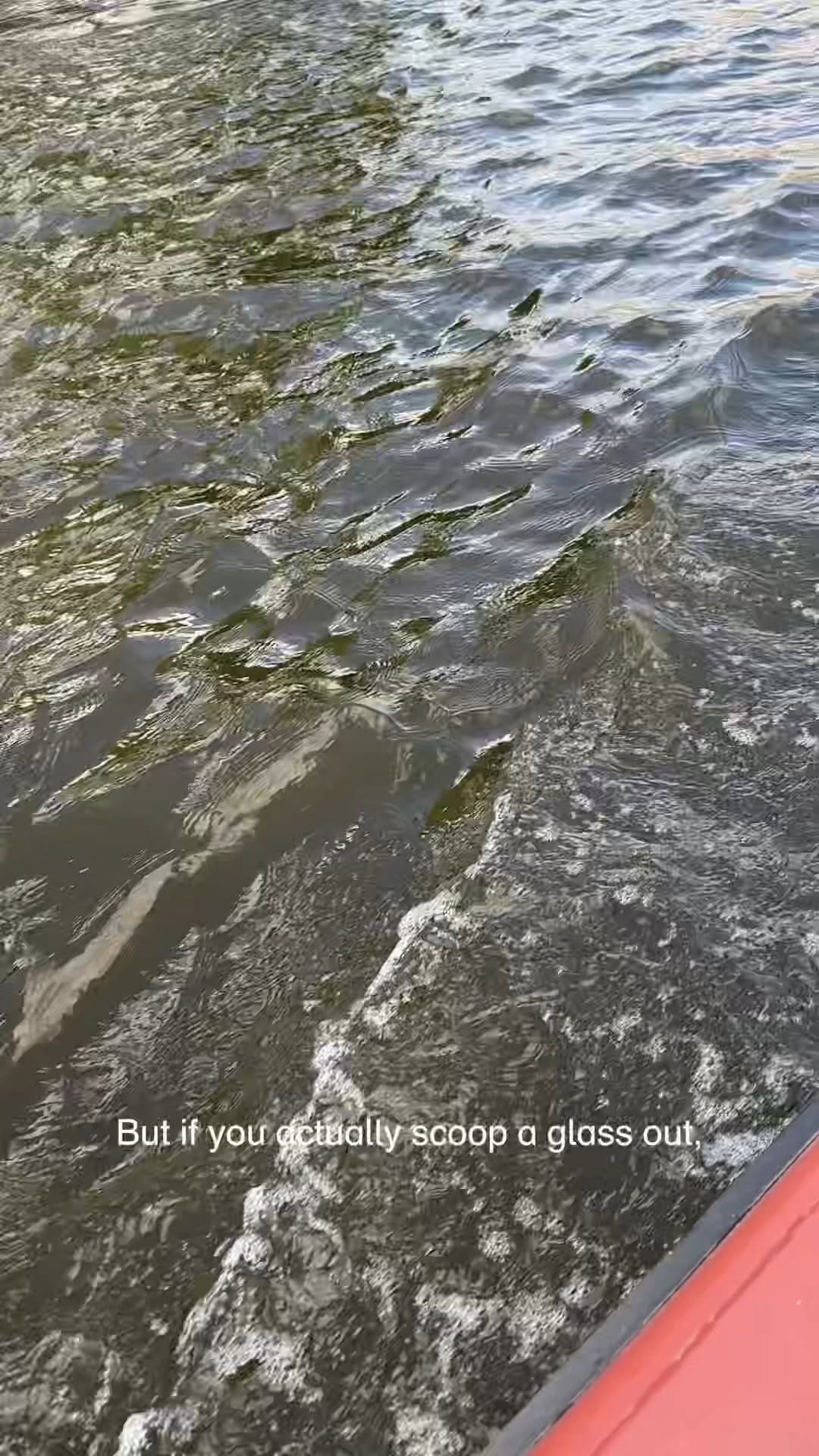 Spoiler: the Amstel isn’t the filthy monster you think it is.