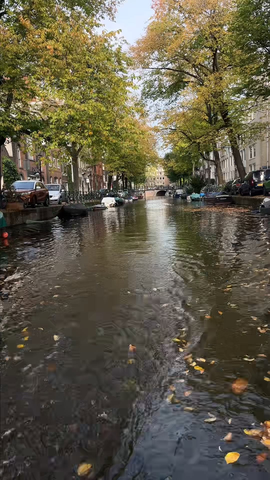 Autumn postcards from Amsterdam.