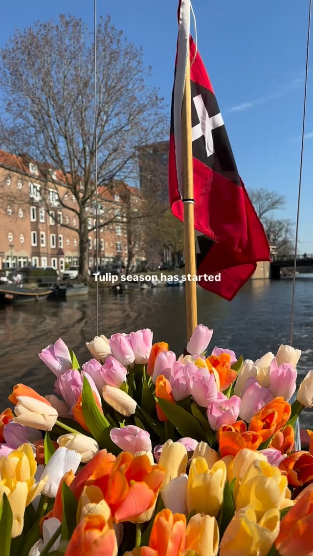 See Amsterdam the easy way - from the water.