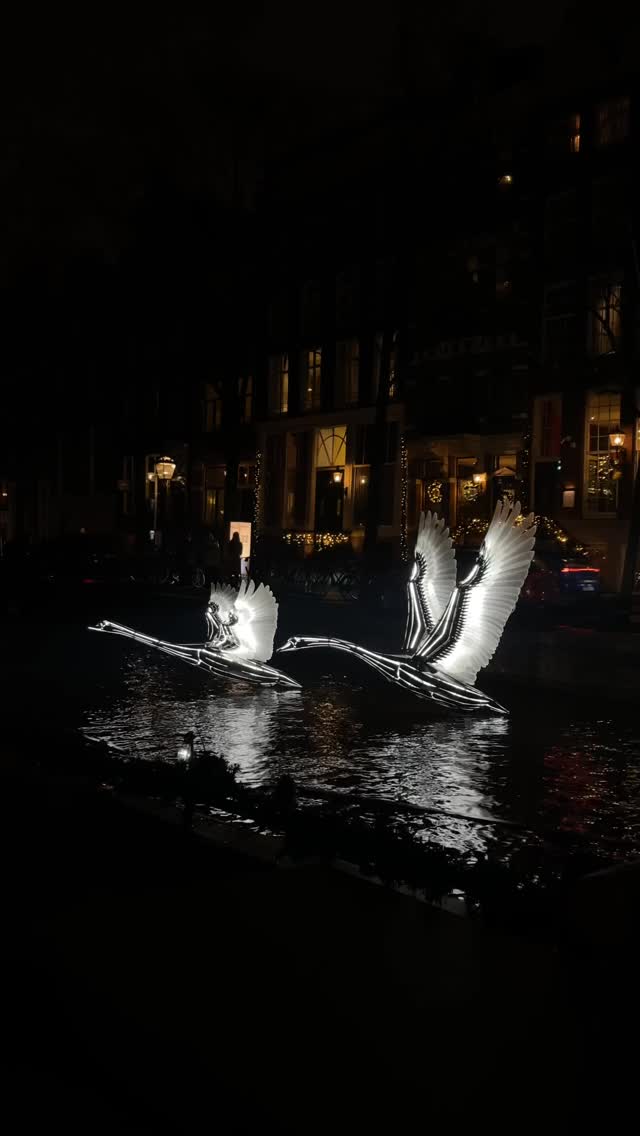 The lights are back, the city is shining, and we’re cruising straight through it.